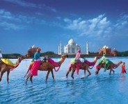 Taj Mahal Tours with Camel Safari